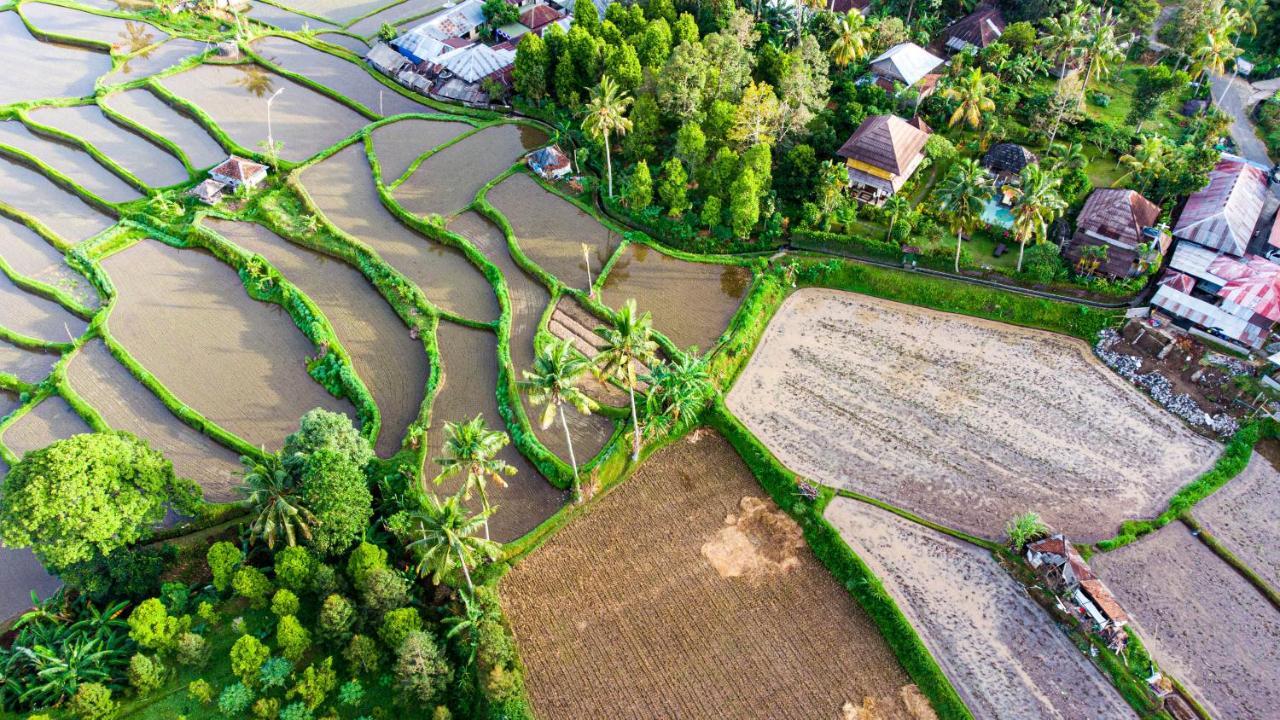 Villa Manuk Singaraja  Bagian luar foto