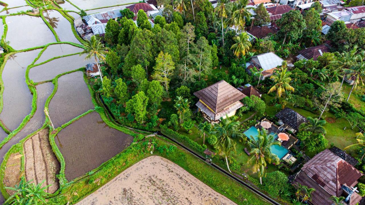 Villa Manuk Singaraja  Bagian luar foto