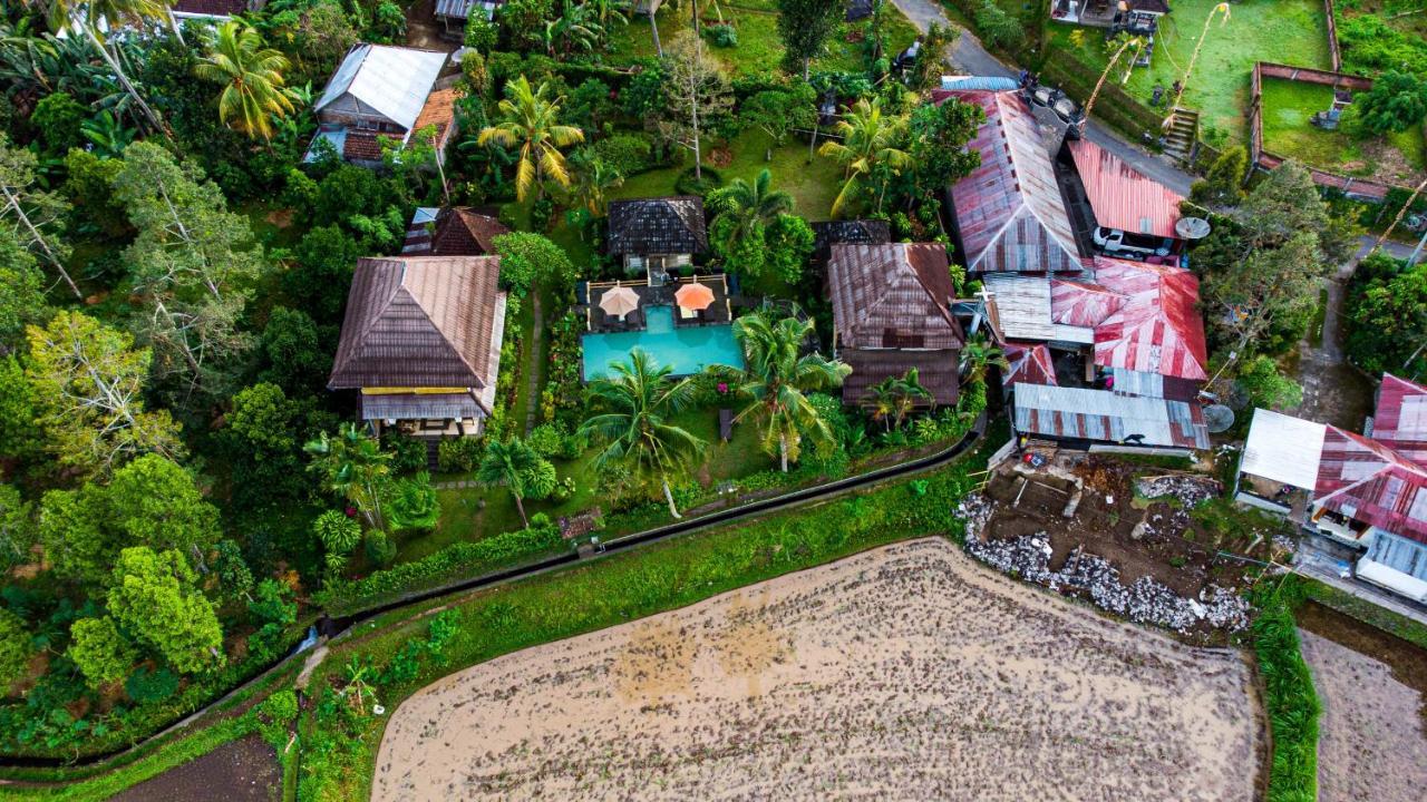 Villa Manuk Singaraja  Bagian luar foto