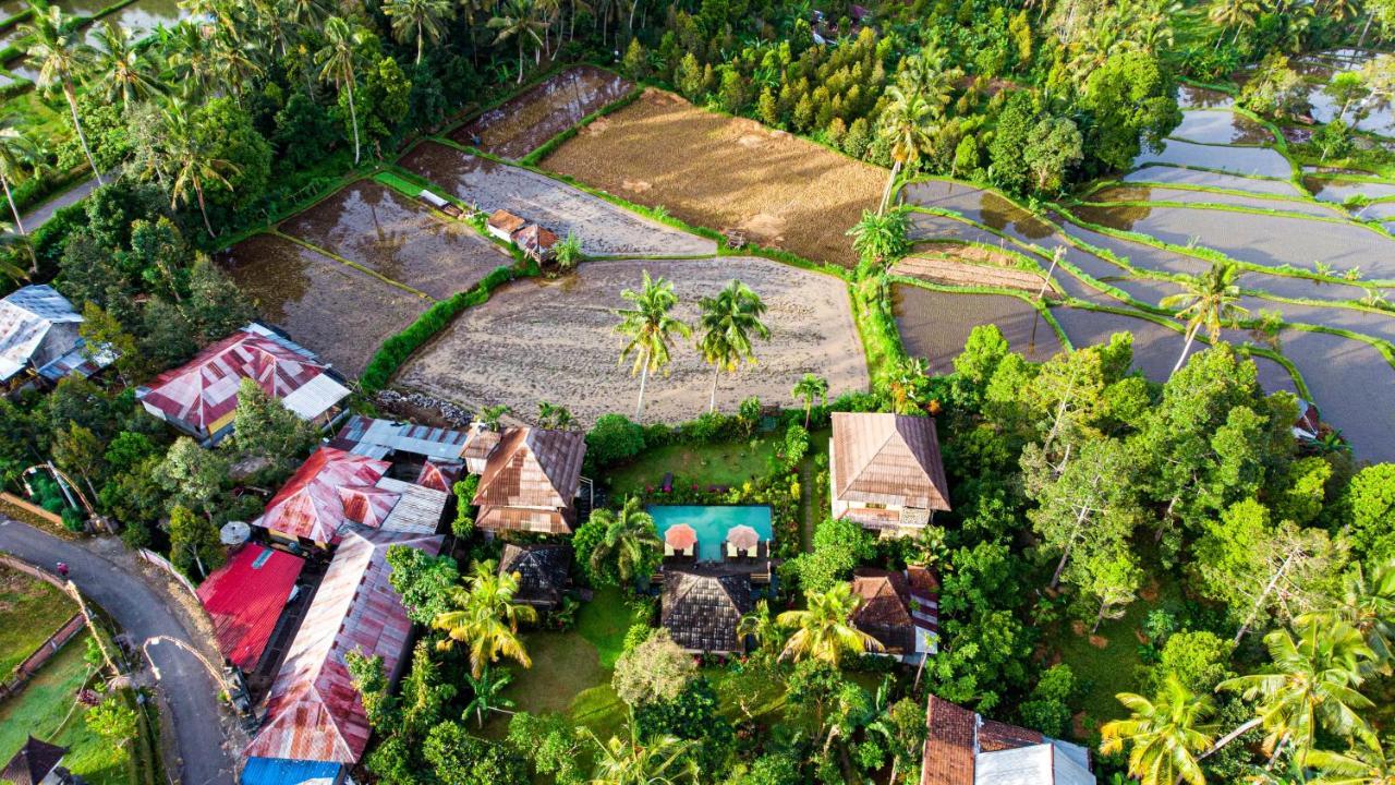 Villa Manuk Singaraja  Bagian luar foto