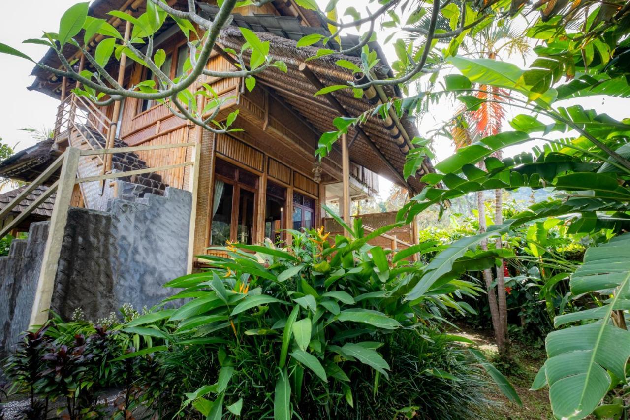 Villa Manuk Singaraja  Bagian luar foto
