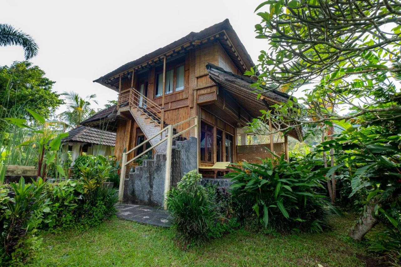 Villa Manuk Singaraja  Bagian luar foto