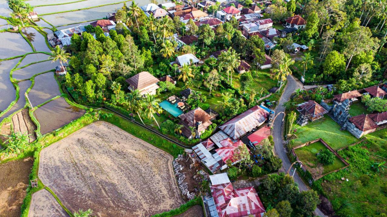 Villa Manuk Singaraja  Bagian luar foto